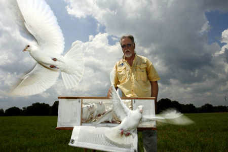 white dove release